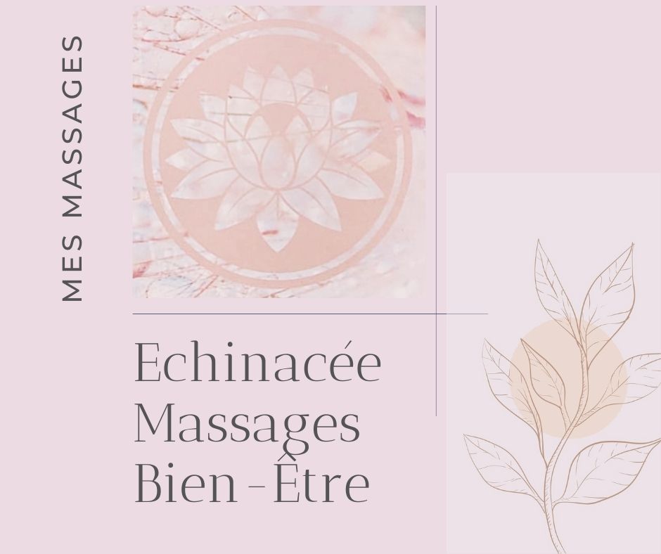 311472880_117596141119950_7753268430316732529_n